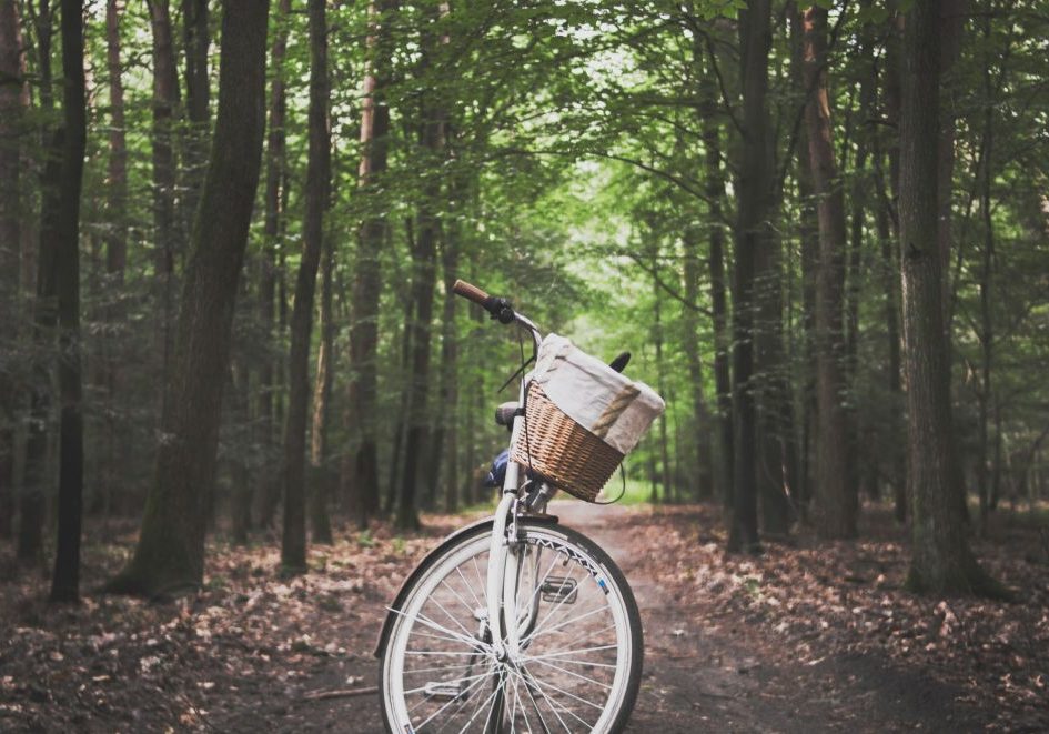 city-bicycle-in-the-middle-of-forest-trail-1239460